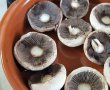 Ciuperci umplute cu cheddar si ceapa verde-1