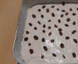 Desert prajitura umeda cu branza, iaurt si stafide-16