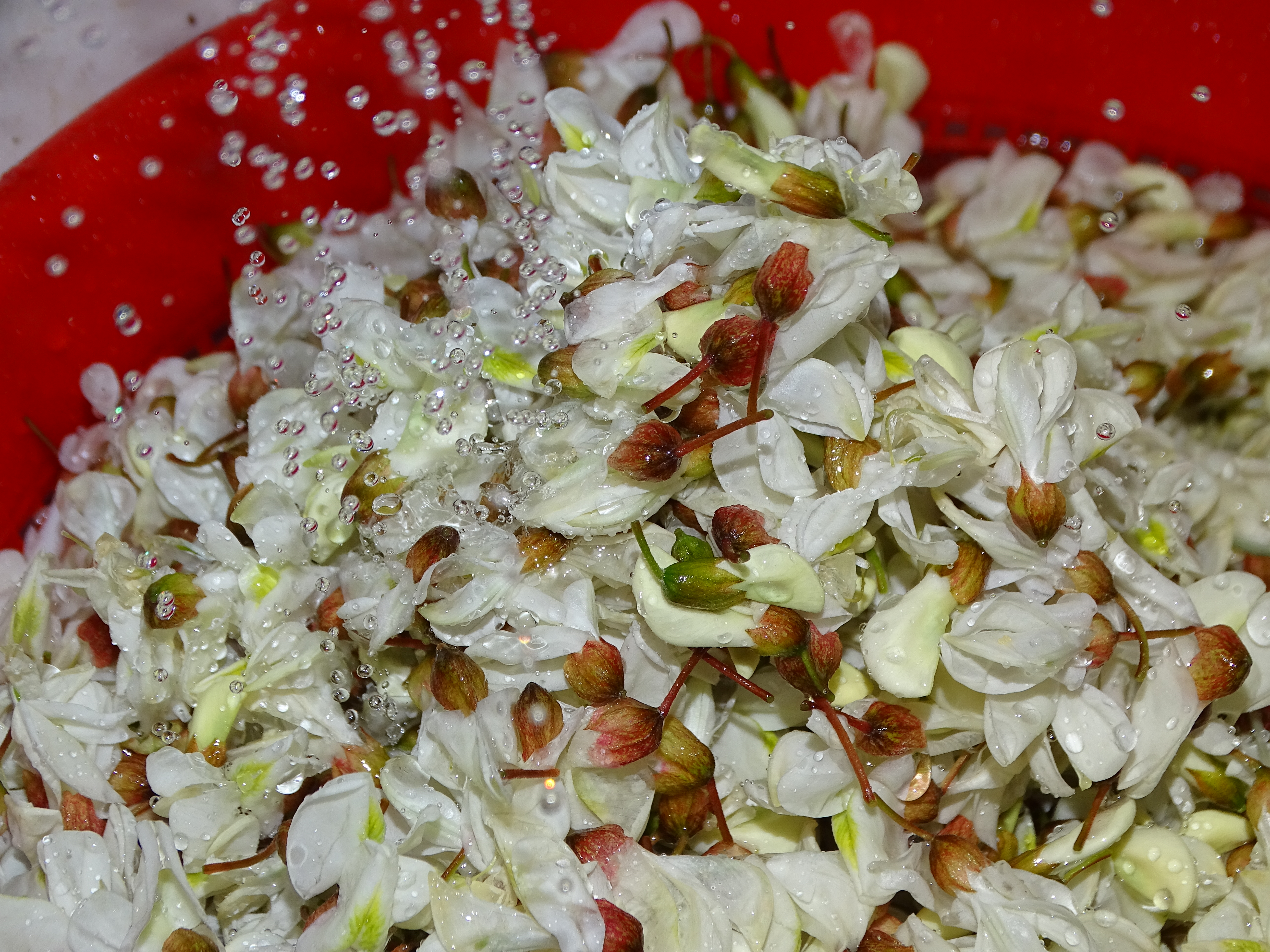 Dulceata din flori de salcam