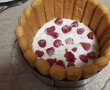 Desert tort din piscoturi, cu crema de iaurt si fructe-2