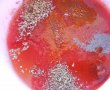 Copanele de pui in sos tomat, cu mamaliguta-4