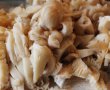 Ciuperci pleurotus facute tocanita-2