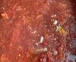 Supa de rosii coapte cu usturoi (Gazpacho)-1