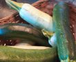 Rulouri de dovlecel si zucchini umplute cu crema de branza la cuptor-4