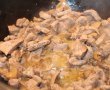 Stroganoff din carne de porc si ciuperci la slow cooker Crock Pot-3