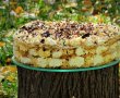 Desert prajitura-tort de toamna-21