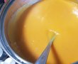 Supa crema de legume la slow cooker Crock Pot-13