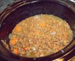 Curry din linte si spanac la slow cooker Crock Pot-10