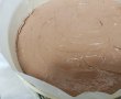 Desert tort cu crema de mascarpone si ciocolata-3