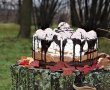 Desert tort cheesecake Tuxedo-25