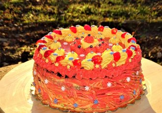 Desert tort 27 ani
