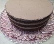 Desert tort cu ciocolata-19