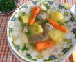Supa din rasol de vita, cu legume-7