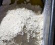 Painici cu lapte, unt si chimen-3