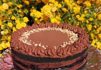 Desert tort cu ciocolata si afine