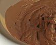 Desert inghetata de ciocolata-1