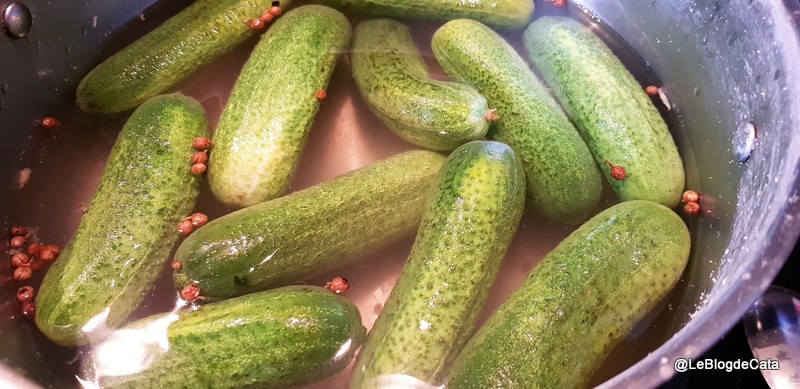 Castraveti in otet / Pickles