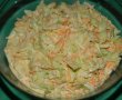 Salata Coleslaw-11