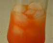 Cocktail Orange-Campari ideal pentru vara-2