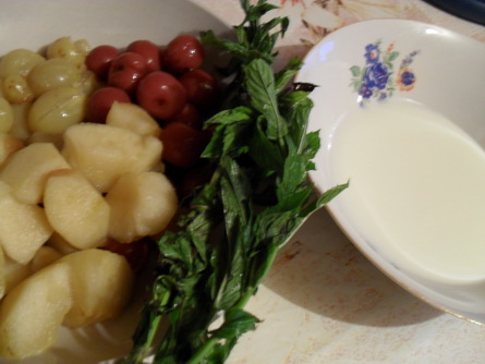 Salata de fructe cu iaurt si menta