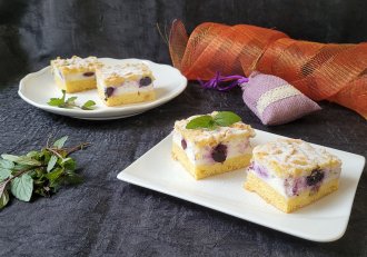 Desert prajitura cu iaurt si afine