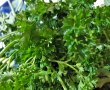 Salata de fasole verde frantuzeasca cu cheddar-13