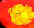 Limonada de mango-0