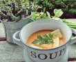 Supa crema cu legume si carne de pui-9