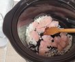 Tocanita de pui cu ardei copt la slow cooker Crock Pot-2