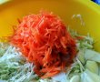 Salata Coleslaw-0