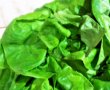 Ciorba de salata verde, ciuperci si codita de purcel afumata, cu smantana-13