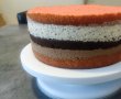 Desert tort cu ciocolata si mandarine-8
