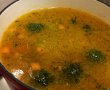 Supa de peste cu taitei de ovaz-5