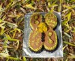 Desert tort Lucia 88 de ani-18