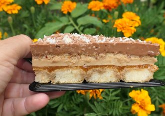 Prajitura cu ness si jeleu de caise - Reteta aromata si delicioasa