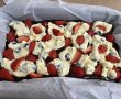 Negresa cu capsuni si afine-7