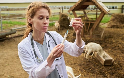 Antibioticele folosite în ferme pot ajunge să ne afecteze pe toți. Cum poate fi redus acest risc