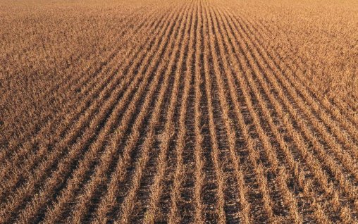 Agricultura își schimbă abordarea:  mai puține lucrări, mai multă protecție pentru sol