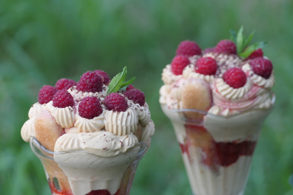 Desert cu capsuni si zmeura - Reteta delicioasa, fara coacere