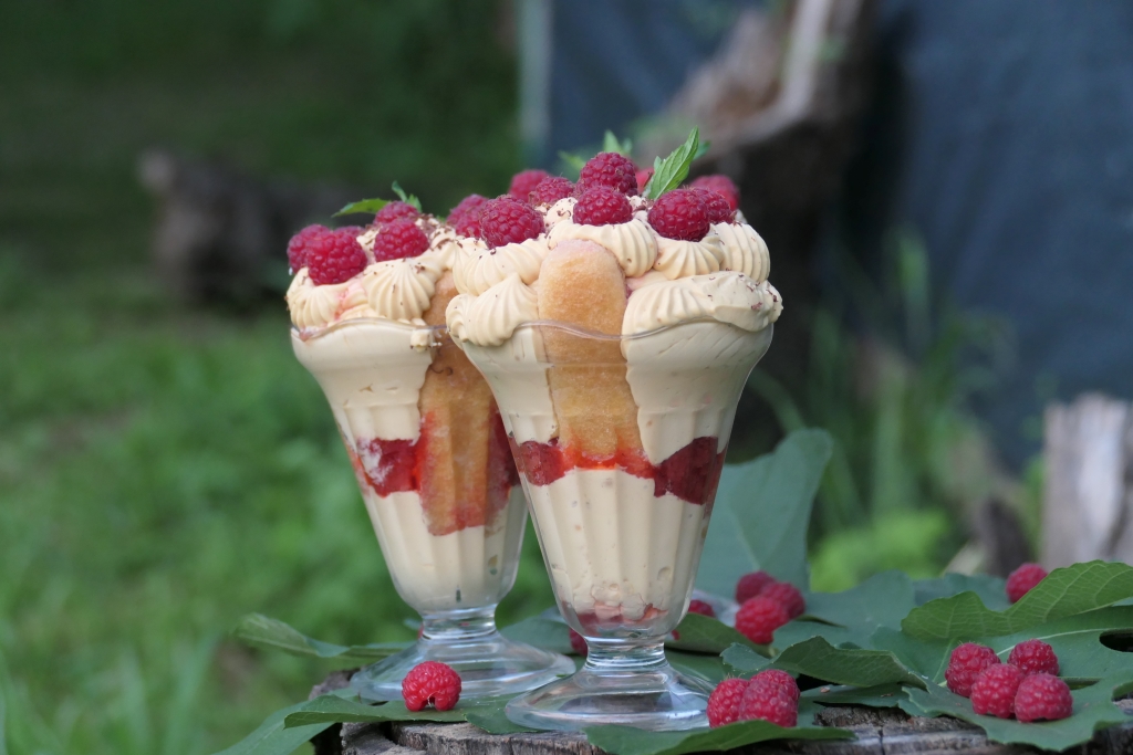Desert cu capsuni si zmeura - Reteta delicioasa, fara coacere