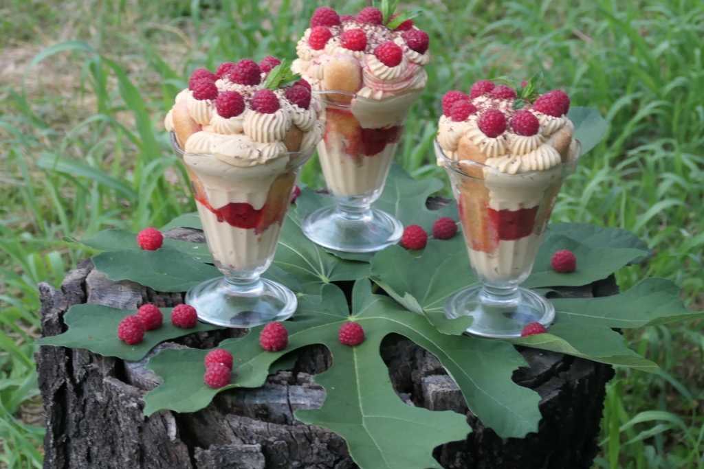Desert cu capsuni si zmeura - Reteta delicioasa, fara coacere