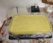 Prajitura cu mango si afine ( Alfonso 18 ani )-24