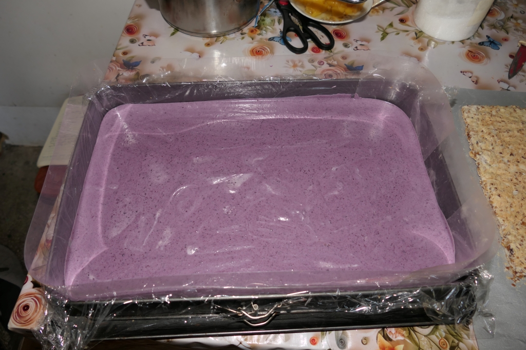 Prajitura cu mango si afine ( Alfonso 18 ani )