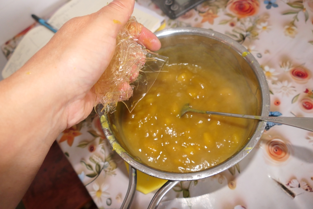 Prajitura cu mango si afine ( Alfonso 18 ani )
